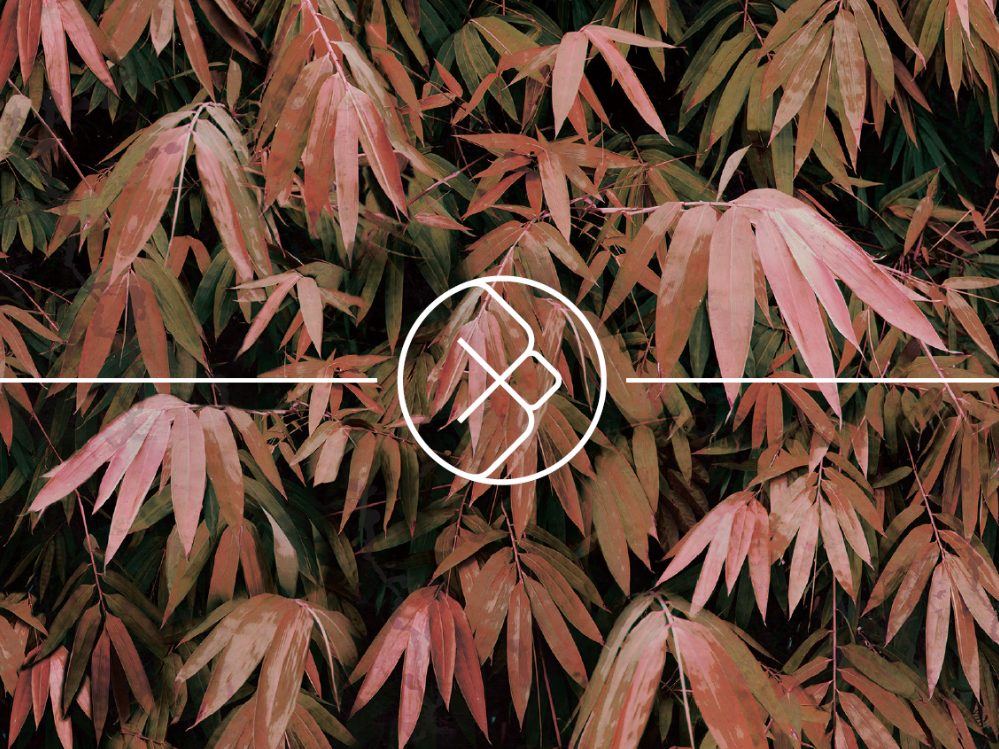 Marketing Strategy: Designing the next steps for Bell & Swift