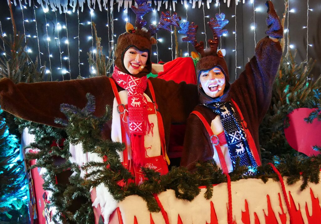 Conifox Christmas Conifox Reindeer Flying School